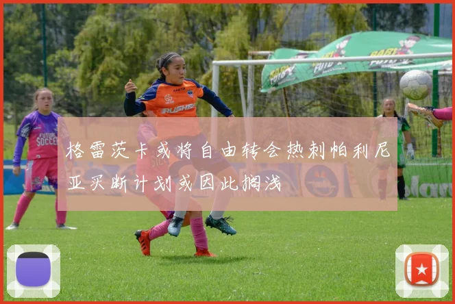 格雷茨卡或将自由转会热刺帕利尼亚买断计划或因此搁浅