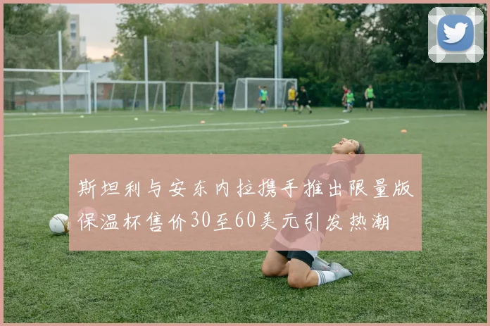 斯坦利与安东内拉携手推出限量版保温杯售价30至60美元引发热潮
