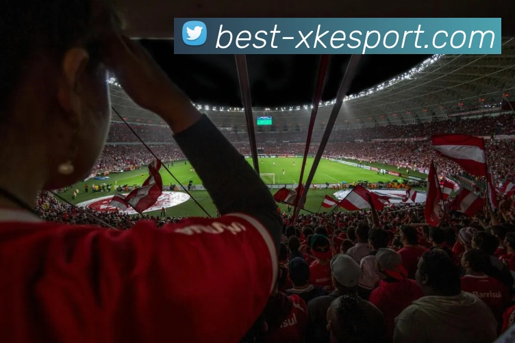 多媒体互动体验